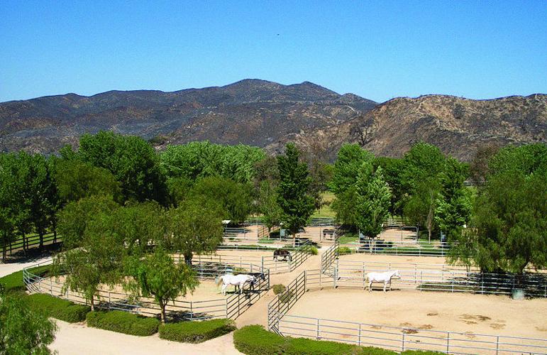 Wynn-Smith Perfects Equestrian Landscaping