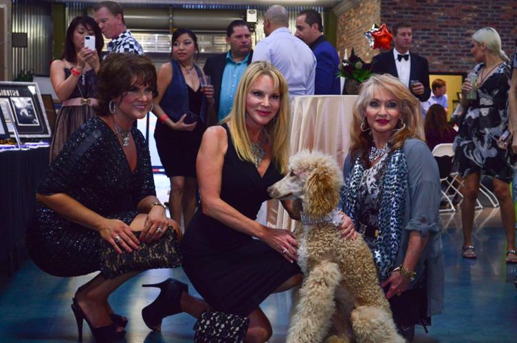 Photos by Lee English