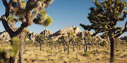 Affordable Places to Travel on a Budget