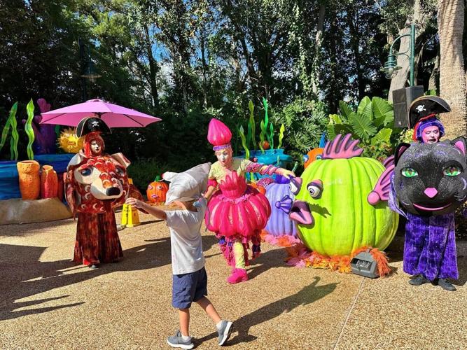 Best Halloween Theme Park Adventures for the Family