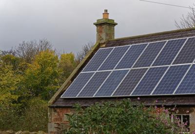 Tips for Making Your Home Green and Beautiful