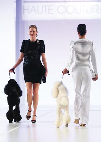 Join Ol’ Blue Eyes