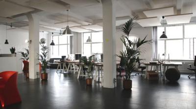 6 Easy Ways to Refresh Your Business Space Without Breaking the Bank