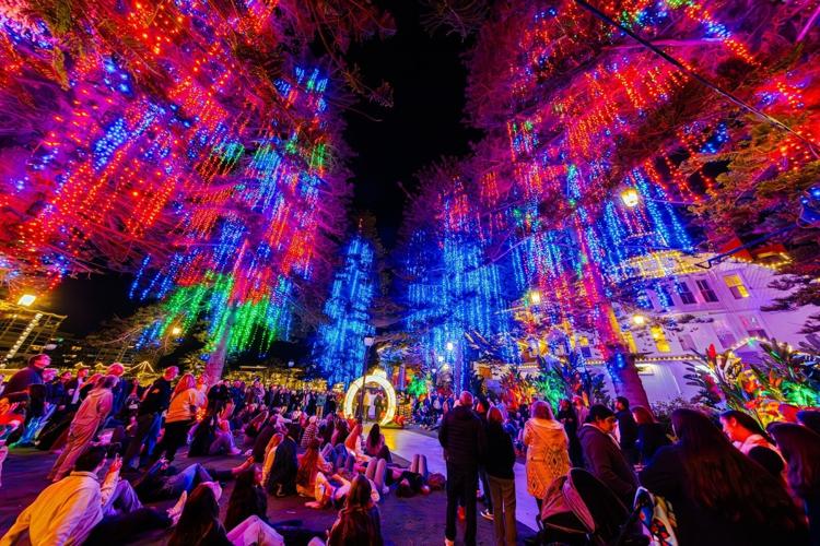 A Holiday in Oz Turns Hotel del Coronado Into a Dazzling World of Winter Magic