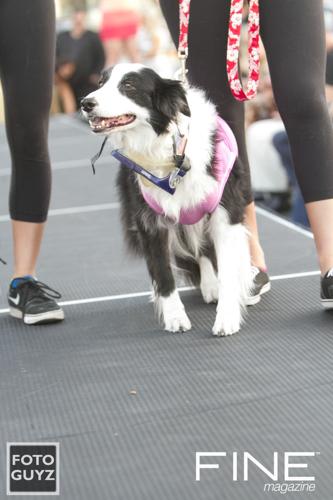 Photos by Will Grayson of Foto Guyz