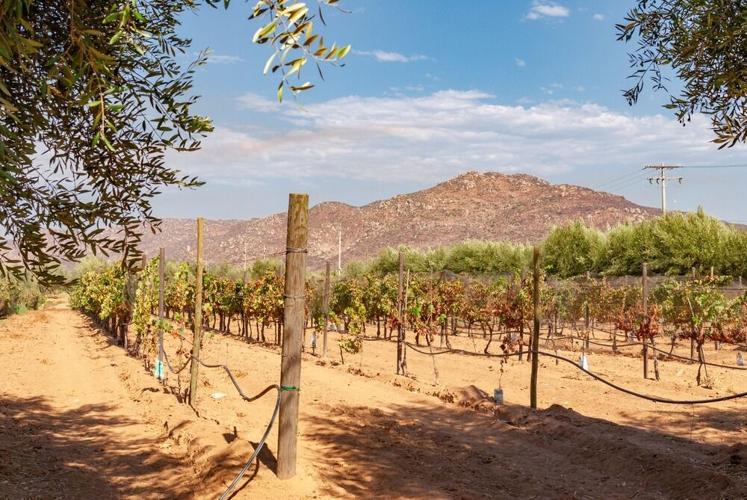 San Diego Weekend Escapes for a Quick Fall Getaway