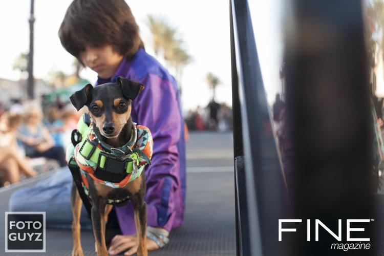 Photos by Will Grayson of Foto Guyz