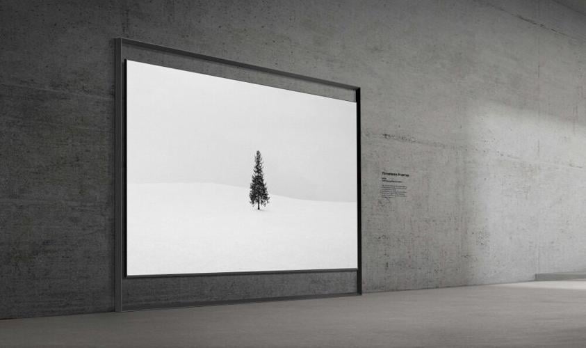 6 Best Gadgets to Come Out of CES 2026 with a Bonus Wow Factor