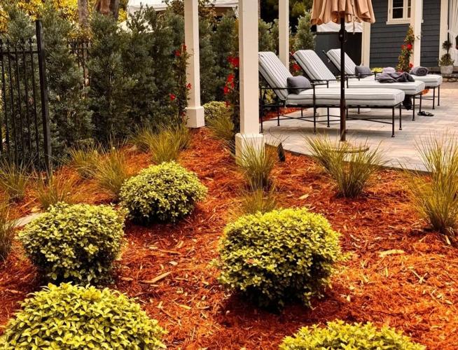 Why Luxury Homes Are Turning Backyards Into Wellness Sanctuaries