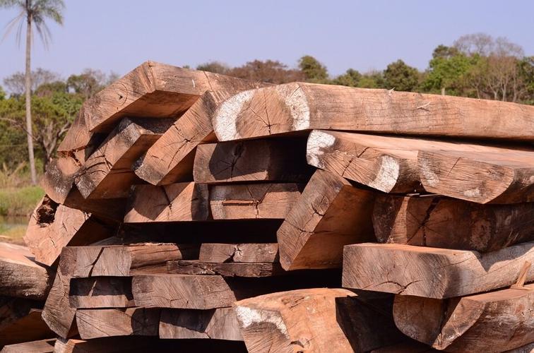 Why You Should Furnish Your Home With Solid Oak