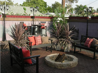 Impress the Neighborhood with a Stunning Yard Without Effort