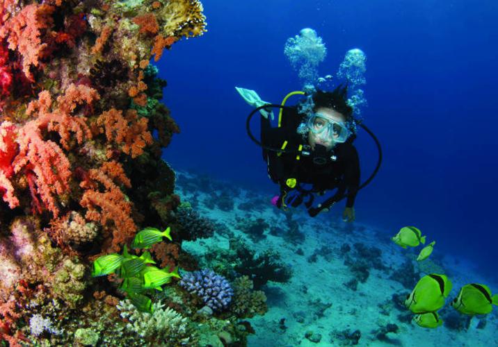 Paradise Found in Cabo San Lucas