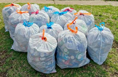 Garbage Bags on the lawn