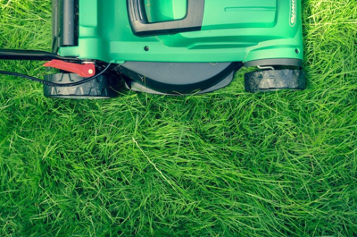 5 Techniques for Thicker and Greener Yards