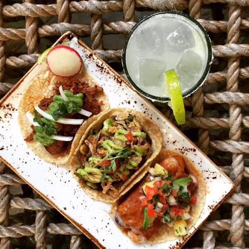 The Taco Addicts Top 5 Taco Spots in San Diego: