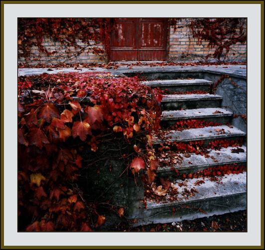 Best Holiday Gifts: Michael Seewald Photography Classes
