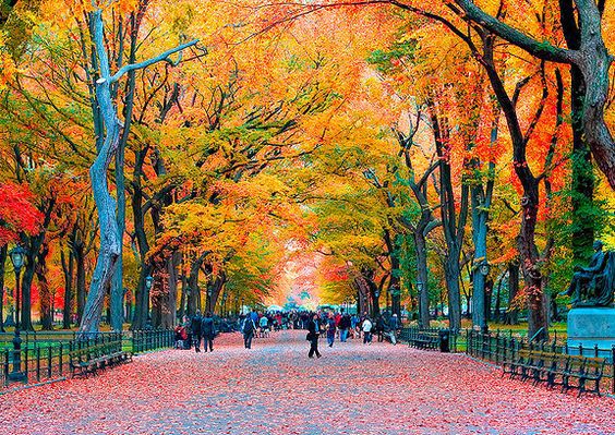 Unique Sites for Millennials to Scope Out in New York City