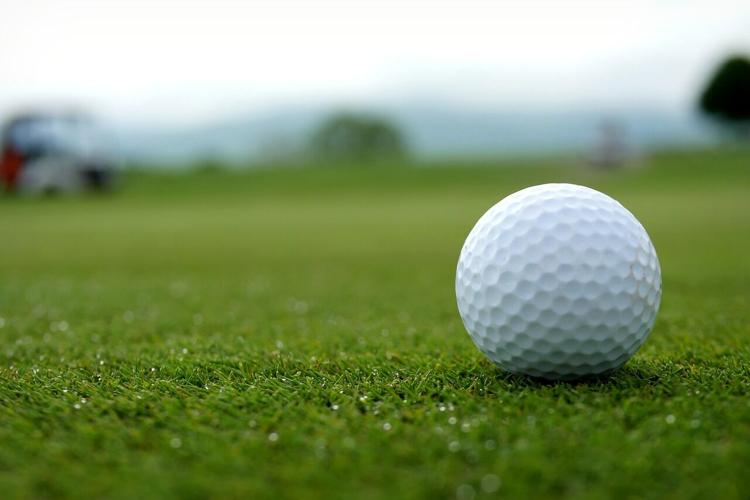 When golfing, you need to have the perfect golf cart