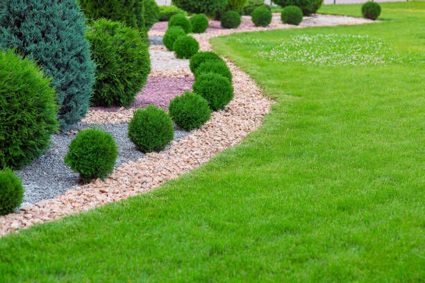Greening Your Business Top Plant Choices for Commercial Landscaping