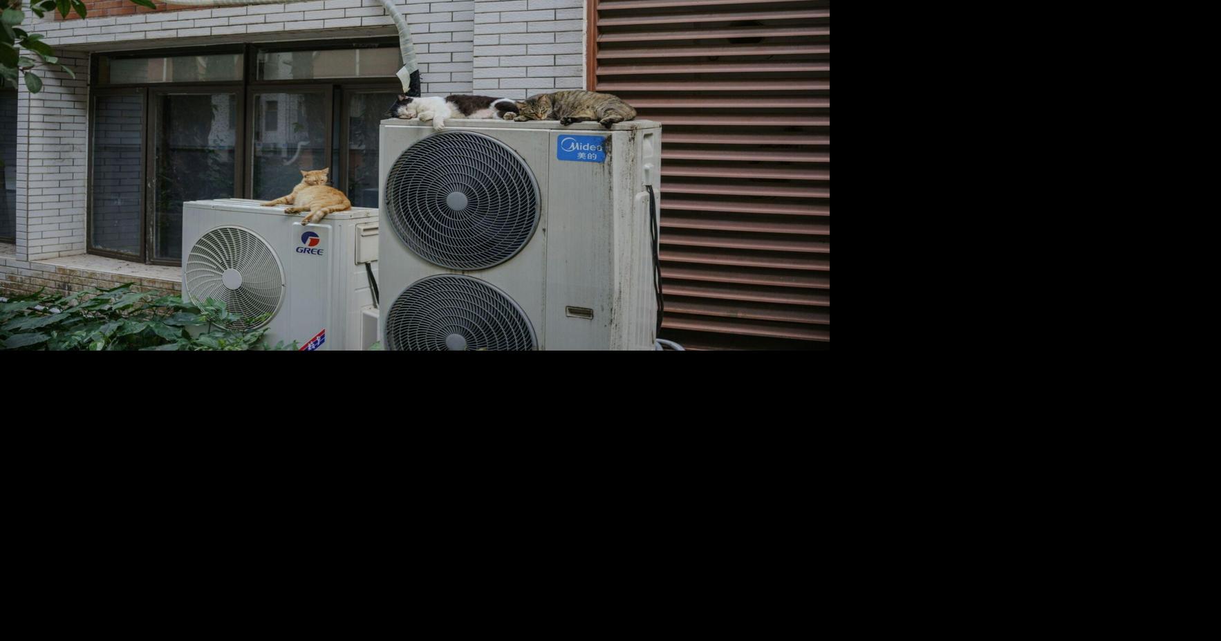 Why Is My Heat Pump Making a Loud Noise? 6 Causes and What to Do