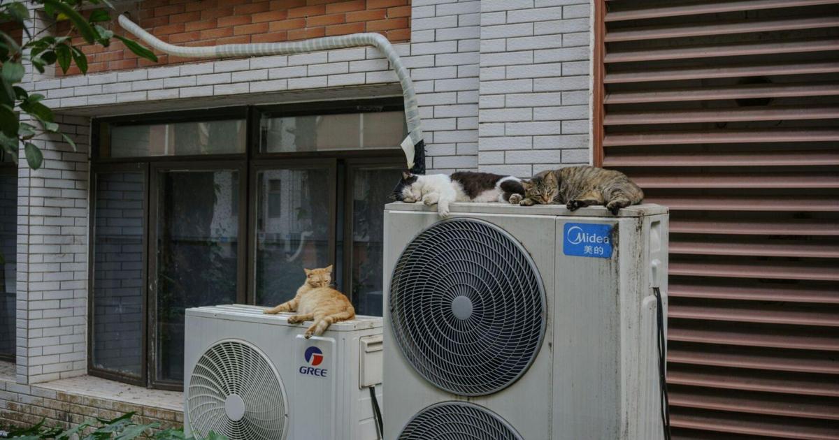 Why Is My Heat Pump Making a Loud Noise? 6 Causes and What to Do