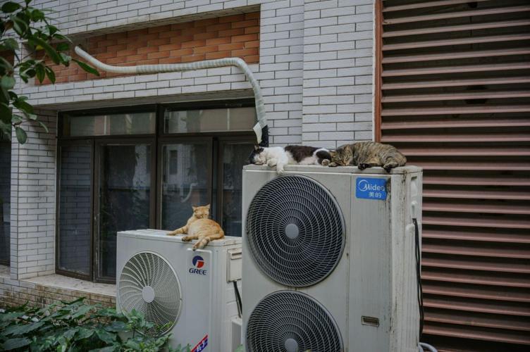Why Is My Heat Pump Making a Loud Noise? 6 Causes and What to Do