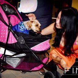 Spring Xposure 2015 FINE magazine San Diego Fashion Show