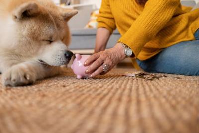 The Easiest Pets to Own for Busy People