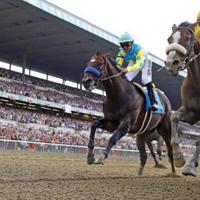 Interview: Jeff Bloom of Bloom Racing Stable | LifeStyle ...