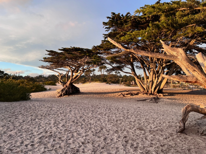 Top Fall Weekend Getaways in California