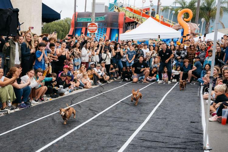 Why La Mesa Oktoberfest Is Going to the Dogs in the Best Possible Way