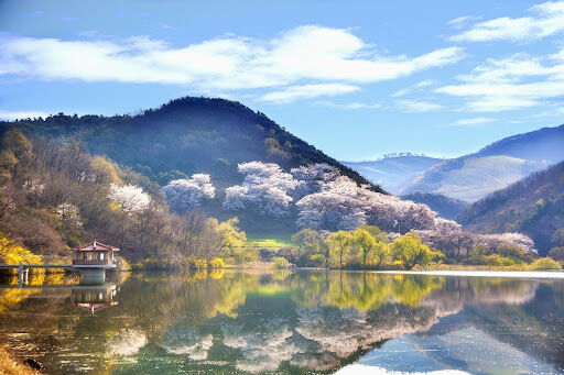 From Seoul to Busan: 8 Useful Tips for Exploring Korea