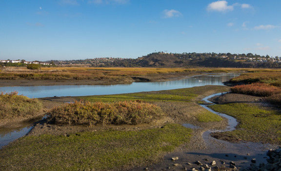 Top North Coast Hikes