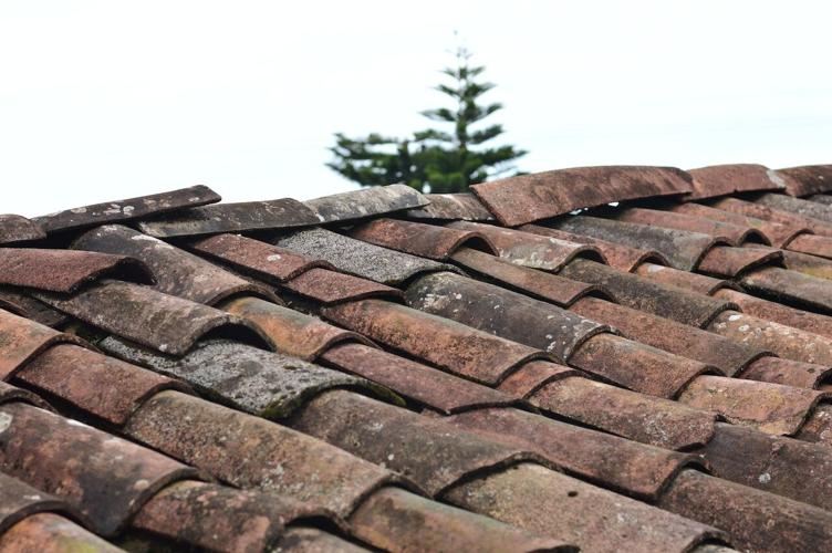 Dirty shingles like this could be an indicator that your home needs renovation
