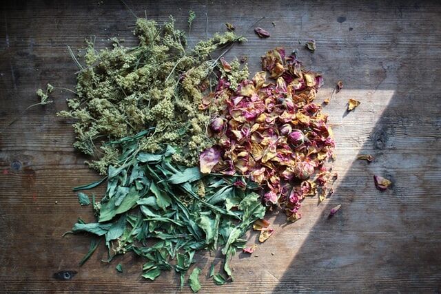 A Beginner’s Guide To Freeze-Drying Food And Its Benefits