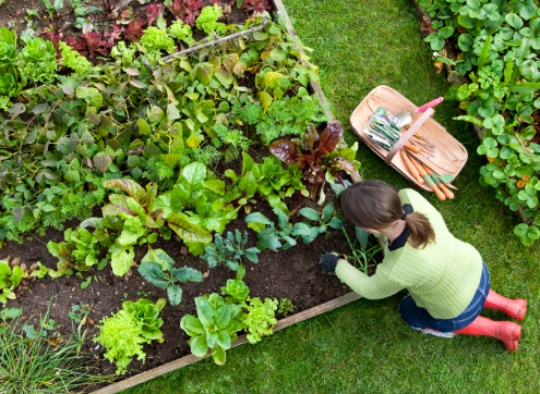 Simple Hobbies You Can Do at Home to Keep Your Mind Sharp