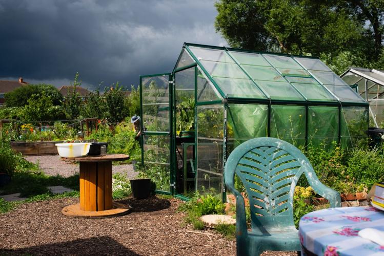 Enhance Your Home and Garden with a Luxury Greenhouse