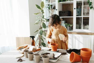 10 Tips For Growing Fresh Herbs In Your Home Indoor Garden