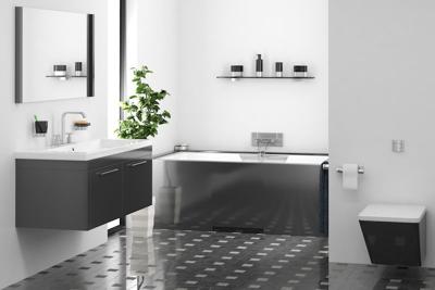 Fusion Décor/ Creating an Eclectic Bathroom Design Website