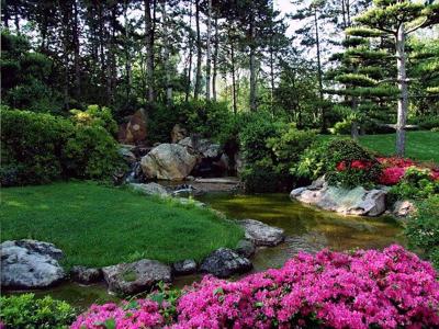 8 Landscaping Ideas for Your Garden