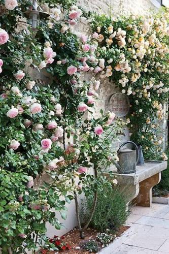 The Garden Helper's Calendar of Gardening Tasks and Projects