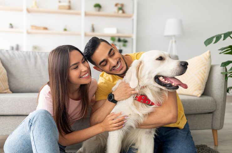 Elevating Pet Wellness with Healers PetCare