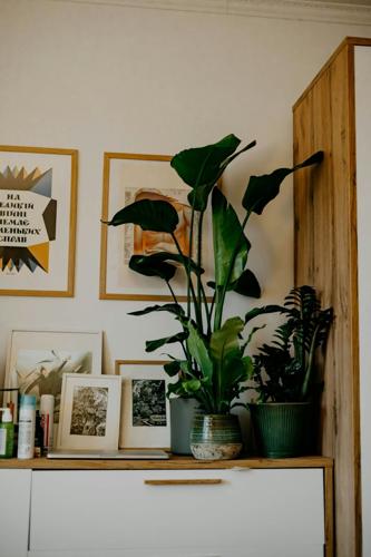 Designing a Better Life: Visual Tools for Personal Growth