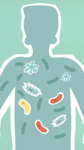 Why Gut Health Matters More Than You Think