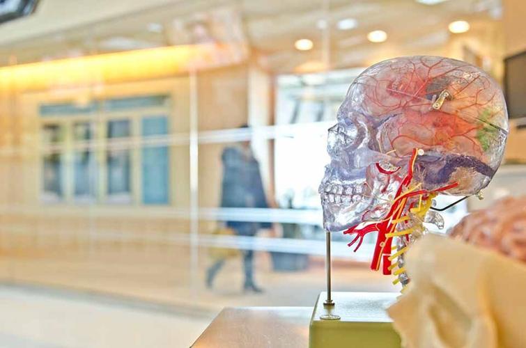 Benefits Of Nootropic Supplements