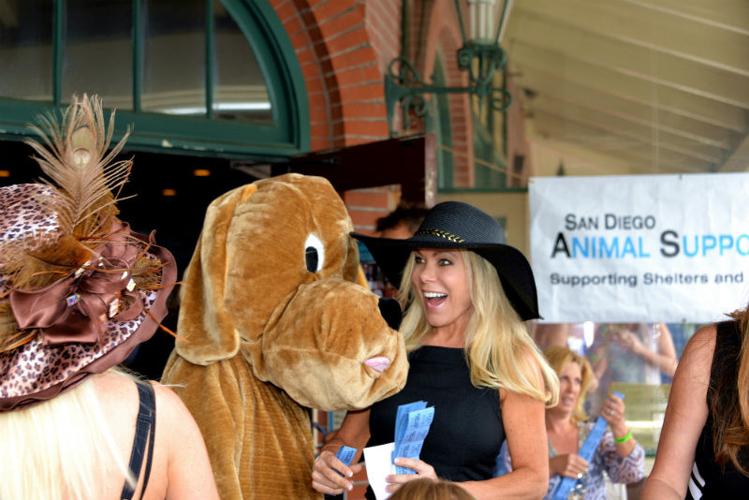 PAWS Kentucky Derby Fundraiser