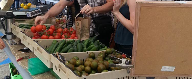 Experience San Diego's Farmers Markets with Chef Jason