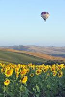 Millennial's Best Holiday Gift Guide