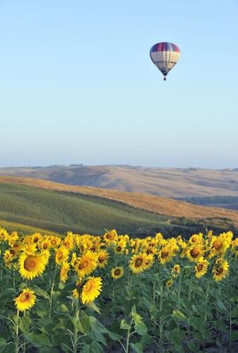 Millennial's Best Holiday Gift Guide