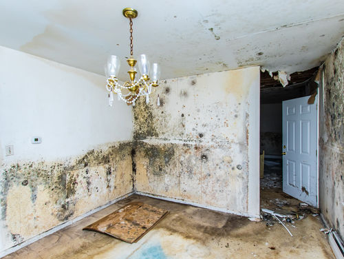 Tips to Find a Water Fire Damage Restoration Ann Arbor MI Business for Your Needs